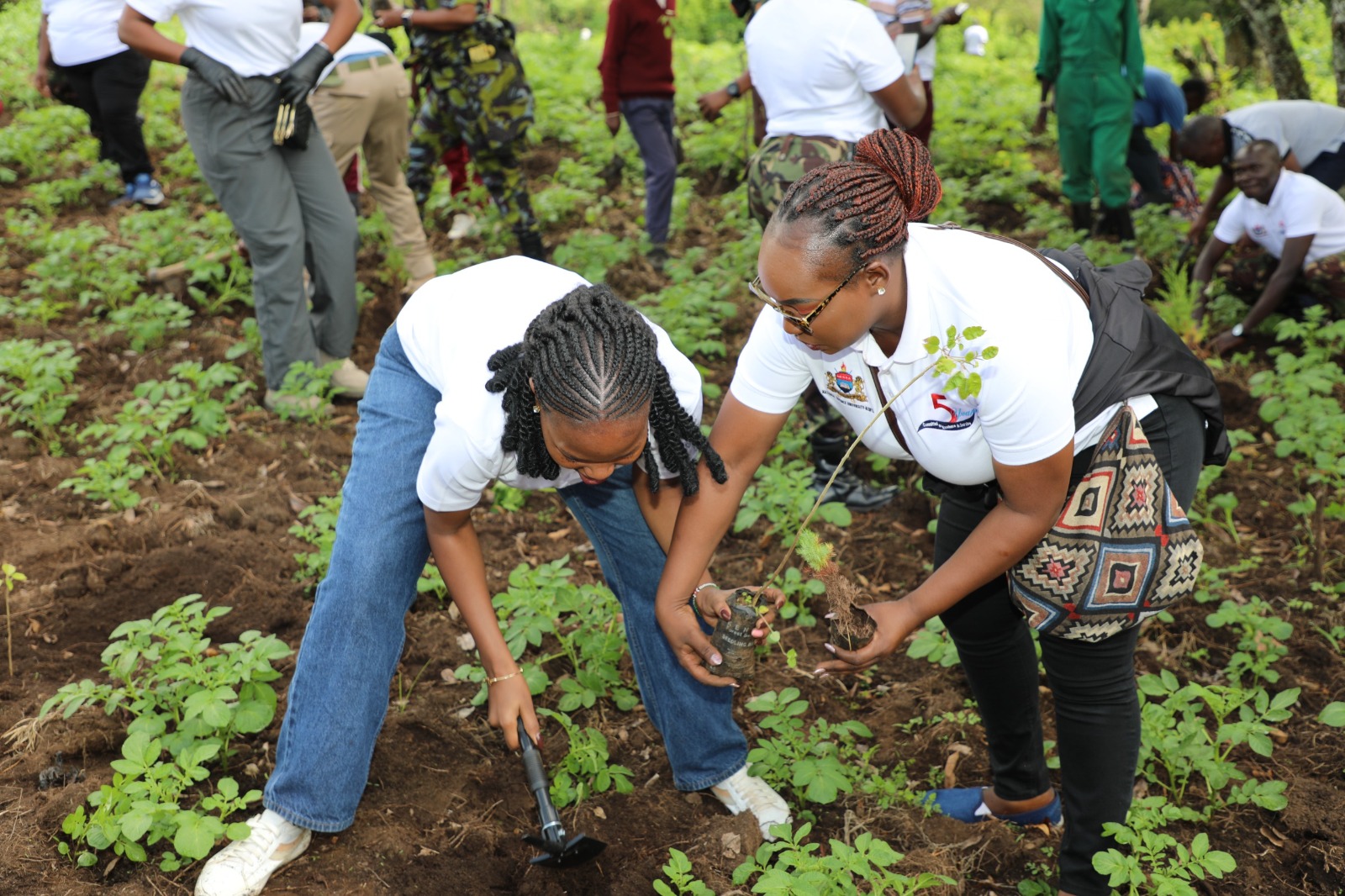 PLANTING THE FUTURE: NDU-K’S COMMITMENT TO ENVIRONMENTAL STEWARDSHIP